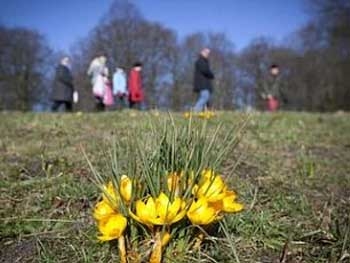 Погода в Украине: тепло и небольшие дожди  фото