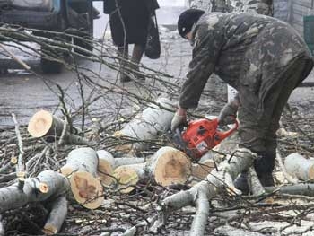 Мелитопольский парк очищают от лишних деревьев фото