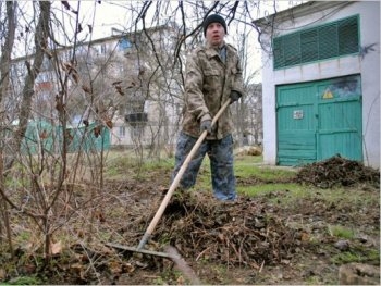 Центр занятости готов обеспечить организацию общественных работ фото