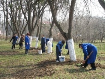 В Запорожье на субботниках трудились 17 тысяч человек фото