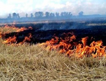 В Запорожской области ввели повышенный уровень пожароопасности фото