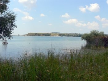 В Запорожской области выловили труп фото