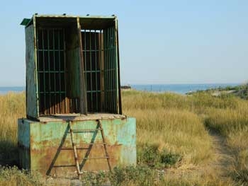 Приазовский район. Каждую ночь на центральном пляже Примпосада воруют двери туалета? фото