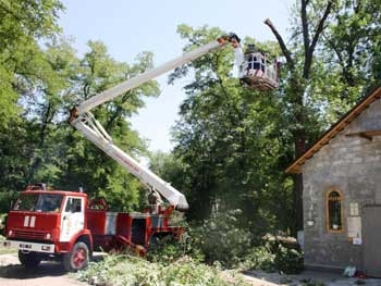 В Запорожье дерево «угрожало» больничному храму фото