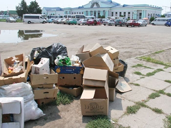 На обочинах мелитопольских дорог стало больше мусора фото