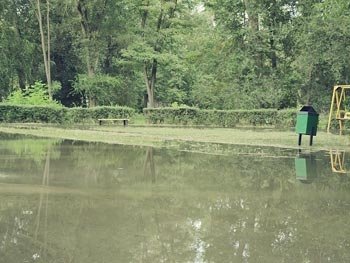 В Запорожье затопило парк «Дубовая роща» фото