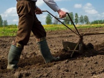 Запорожские фермеры пожаловались на беспредел фото