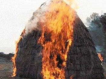 В Запорожском селе горел сеновал и трактор фото