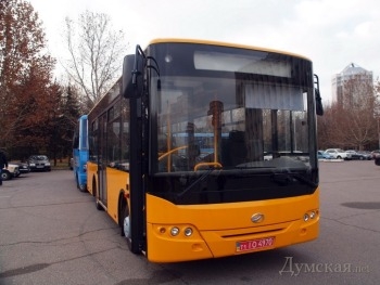 Мелитопольским спортсменам купят автобус фото