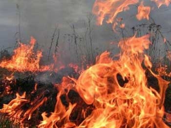 В Запорожской области объявлена высокая пожароопасность фото