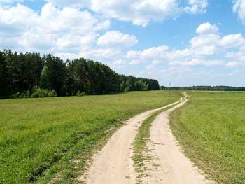 Мелитопольский район. Охранник погиб на рабочем месте фото