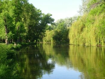 Дубовой Рощей в Запорожье займутся в следующем году фото