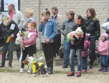 В Мелитополе прошла благотворительная выставка беспородных собак фото