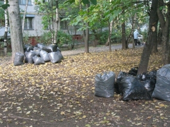 В Запорожье будут следить за переработкой мусора и листвы фото