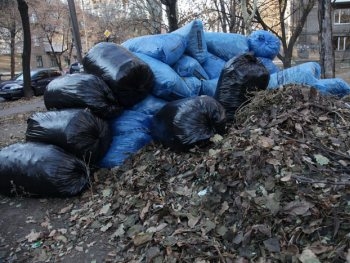 Запорожцев зовут на субботник фото