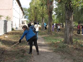 Власть ищет желающих за 3 тыс. грн. создать проект благоустройства Студенческой рощи фото