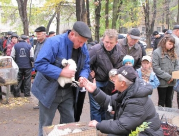 Слет пернатых и сбор пушистых: в городе прошла осенняя ярмарка фото