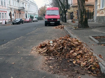 Опавшую листву с улиц Мелитополя вывозить не спешат фото