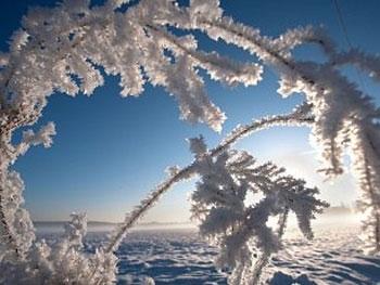 Прогноз погоды в Украине: до +2 на западе и -18 °С на востоке фото