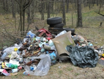 В Запорожье ликвидируют стихийные свалки фото