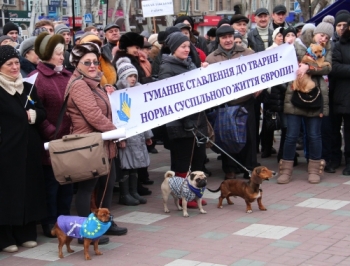 Мелитополь. Митингов будет больше фото