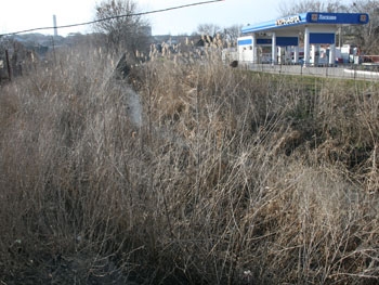 В Мелитополе раскрыли убийство фото