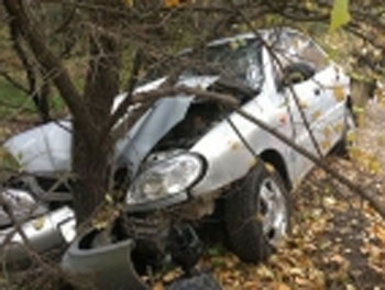 В Запорожье «Ланос» врезался в дерево: пассажир умер в больнице фото