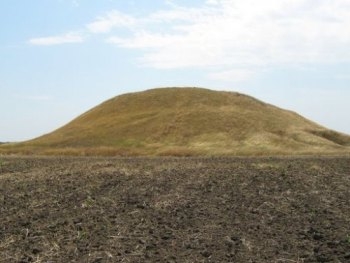 Запорожская прокуратура требует вернуть государству древний курган фото