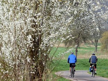 Погода в Украине: прохладно и дожди фото