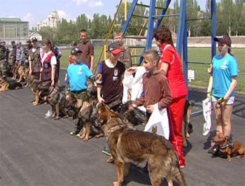 В Запорожье прошли соревнования юных кинологов фото