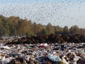 В Запорожье ликвидировали шесть стихийных свалок мусора фото