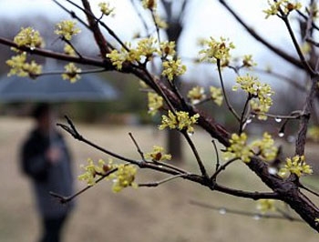 Погода в Украине: дожди с грозами и до +27 фото