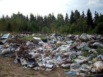 Запорожская милиция разбирается с организаторами свалки фото