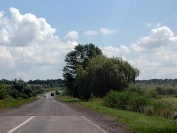 В Запорожской области произошло ДТП фото