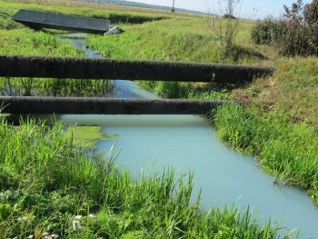 Акимовский район. На следующей неделе лиман наполнится водой? фото