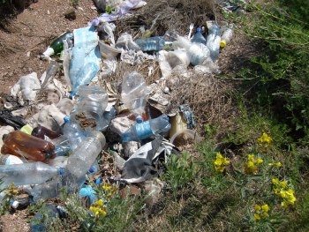 В Запорожской области зафиксировали нарушения фото