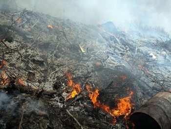 В Запорожской области горела свалка фото