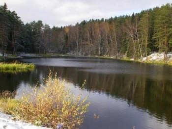 Запорожский предприниматель не следовал экологическим нормам фото