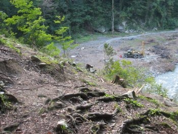 В Запорожье уничтожают свалки фото