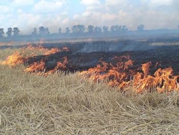 В Запорожской области горит трава фото