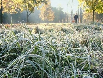 В Украине завтра ожидаются заморозки фото