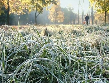 В Украину придут заморозки фото