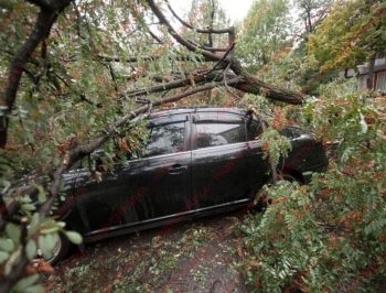 Стихия в Запорожье без электричества остались школы и больницы фото