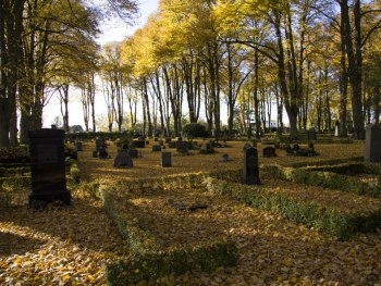 В Запорожской области объявились вандалы фото