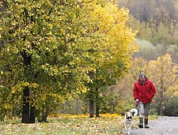 Погода в Украине: тепло днем и заморозки ночью фото