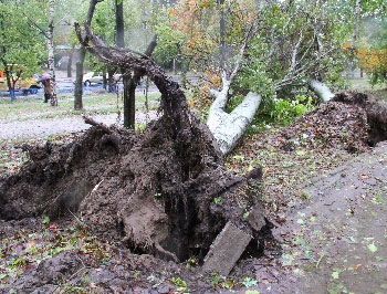 Мелитопольский район все еще считает убытки от урагана фото