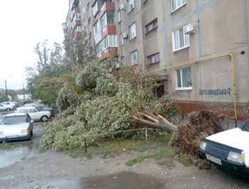 В Бердянске продолжается ликвидация последствий урагана фото