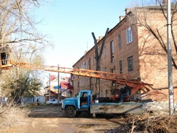 В Запорожье убирают аварийные деревья фото