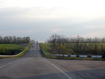 В Запорожской области ищут свидетеля ДТП фото