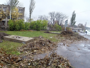 В Бердянске вместо упавших деревьев появляются билборды фото